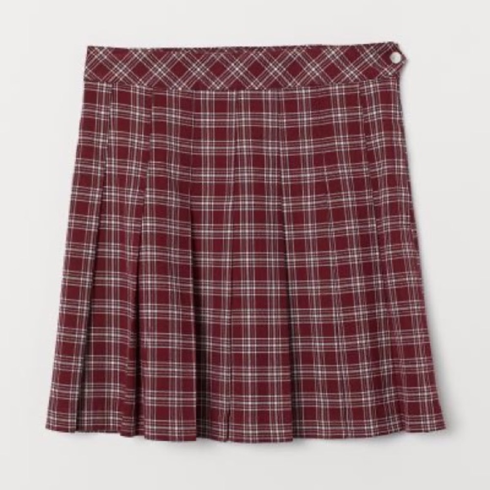 H&M Pleated Skirt